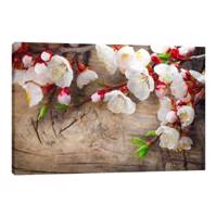 تابلو شاسی بوم آیریس کد Iris0036 طرح گل