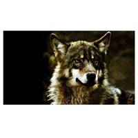 تابلو شاسی نقره ترمه مدل A17