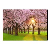 تابلو شاسی آفتاب مدل N155