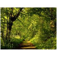 تابلو شاسی مِسترچاپ کد 1023