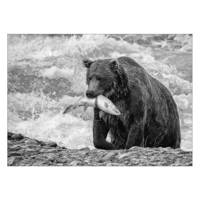 تابلو شاسی ونسونی طرح Bear The Hunter سایز 50x70 سانتی متر Wensoni Bear The Hunter Chassis Size 50 x 70 Cm