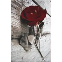 فرش ماشینی اکسیر طرح سه بعدی مدل E109