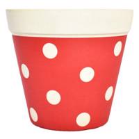 گلدان نقطه مدل Red