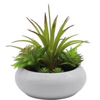 گلدان گل آکو مدل کاکتوس F3806 Ako Cactus F3806 Flower Vase