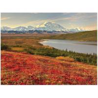 تابلو شاسی مِسترچاپ کد 1015