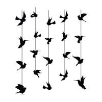 استیکر سالسو طرح black birdy Salso black birdy Sticker