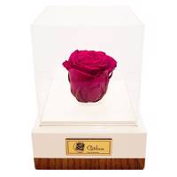 جعبه گل ماندگار گیتی باکس مدل رز جاودان قرمز تیره افرا Gitibox Afra Dark Red Preserved Rose Flower Box