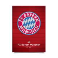 پوستر ونسونی طرح Bayern Munchen 2016 سایز 50x70 - Wensoni Bayern Munchen 2016 Poster 50x70