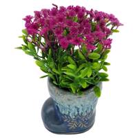 گلدان به همراه گل مصنوعی کیدتونز کد KGG-004-1 Kidtunes KGG-004-1 Flower And Pot