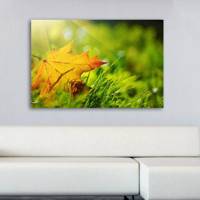 تابلو بوم گالری آفتاب کد P43