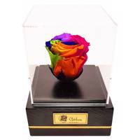 جعبه گل ماندگار گیتی باکس مدل رز جاودان 7 رنگ کاج Gitibox Kaj 7 Color Preserved Rose Flower Box