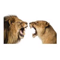 تابلو شاسی نقره ترمه مدل A25