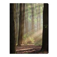 تابلو شاسی بارمان مدل N273 Barman N273 Chassis