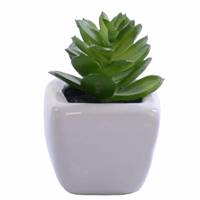 گلدان به همراه گل مصنوعی رایدین مدل کاکتوسR14 - Raydin Cactus R14 Flower Vase