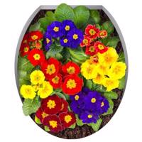 استیکر ژیوار طرح گل های رنگارنگ Zhivar Color Full Flowers Sticker