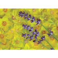 تابلو شاسی آکو طرح Flower سایز 40 × 28 سانتی متر Ako Flower Chassis Size 28 x 40 CM