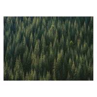 تابلو شاسی ونسونی طرح Pines Squared سایز 50x70 سانتی متر Wensoni Pines Squared Chassis Size 50 x 70 Cm