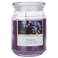 شمع اولد ویلیامزبرگ مدل Mulberry U201161 Old Williamsburgh Mulberry U201161 Candle