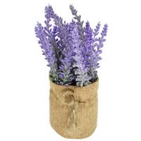 گلدان به همراه گل مصنوعی کیدتونز کد KGG-006-1 Kidtunes KGG-006-1 Flower And Pot