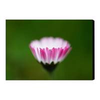 تابلو شاسی آفتاب کد Bar89