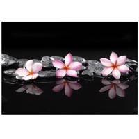 تابلو شاسی نوآوران کد SH11 Noavaran SH11 Tableau