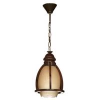 چراغ آویز تک شعله دیلایت کد470/1CH Delight470-1CH One Branch Hanging Lamp