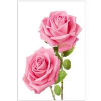 تابلو شاسی نوآوران کد SH3 Noavaran SH3 Tableau