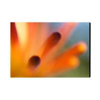 تابلو شاسی بارمان مدل Bar32 Barman Bar32 Chassis