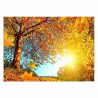 تابلو شاسی ونسونی طرح Fall Trees سایز 70 × 50 سانتی متر Wensoni Fall Trees Chassis Size 50 x 70 Cm