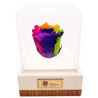 جعبه گل ماندگار گیتی باکس مدل رز جاودان 7 رنگ افرا Gitibox Afra 7 Color Preserved Rose Flower Box