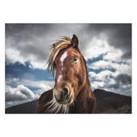 تابلو شاسی ونسونی طرح Coquettish Horse سایز 50 × 70 سانتی متر Wensoni Coquettish Horse Chassis Size 50 x 70 Cm