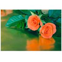 تابلو شاسی نوآوران کد SH16 Noavaran SH16 Tableau