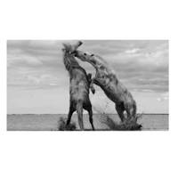 تابلو شاسی نقره ترمه مدل A12