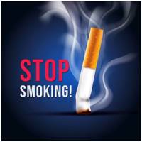 استیکر دکوگراف مدل No Smoking کد 103 - DecoGraph Smoking 103 Sticker