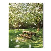 تابلو شاسی بارمان مدل N278 Barman N278 Chassis