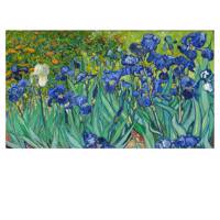 تابلوی گرافیتی طرح Irises سایز 50 × 70 Graffity Irises Chassis 70 x 50