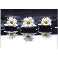 تابلو شاسی نوآوران کد SH9 Noavaran SH9 Tableau