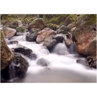 تابلو شاسی آرت پرینت کد 50703 سایز 50×70 سانتی متر