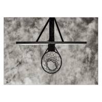 تابلو شاسی ونسونی طرح Basketball Ring سایز 50x70 سانتی متر Wensoni Basketball Ring Chassis Size 50 x 70 Cm