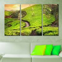 تابلوی دیواری 3 تکه آفتاب مدل TA-904