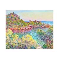 تابلوی گرافیتی طرح Monet2 سایز 50 × 70 Graffity Monet2 Chassis 70 x 50