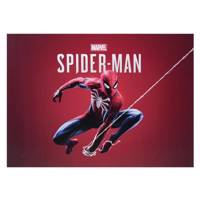 تابلو شاسی طرح Spider Man سایز 50 - 70