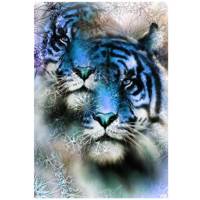 تابلو شاسی نوآوران کد SH28 Noavaran SH28 Tableau