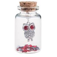 جغد نگینی چشم قرمز داخل شیشه 9 عددی 1101B Stone Owl Red Eye The Glass 9 Digits 1101B