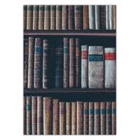 تابلو شاسی ونسونی طرح Darcys Library سایز 50x70 سانتی متر Wensoni Darcys Library Chassis Size 50 x 70 Cm