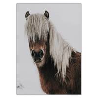 تابلو شاسی ونسونی طرح Longhair Horse سایز 30 × 40 سانتی متر Wensoni Longhair Horse Chassis 40 x 30