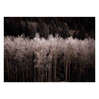 تابلو گالری مارکت لند کد M114