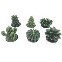 شمع ماهک مدل Cactus مجموعه 6 عددی