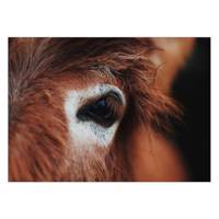 تابلو شاسی ونسونی طرح Horse Eyes سایز 50x70 سانتی متر Wensoni Horse Eyes Chassis Size 50 x 70 Cm