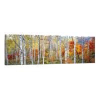 تابلو بوم آیریس طرح درختان پاییزی کد Iris0028